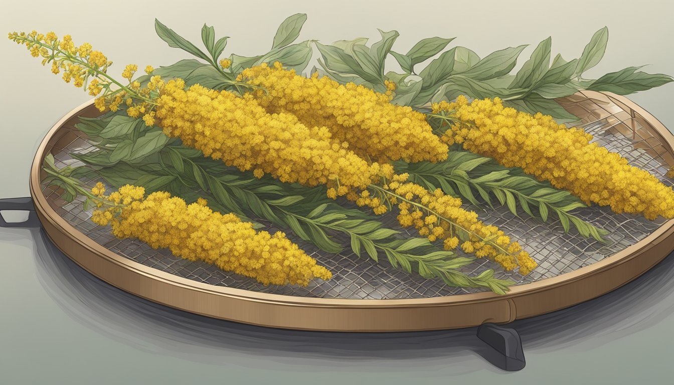 How to Dehydrate Goldenrod: A Simple Guide for Preserving This Versatile Herb